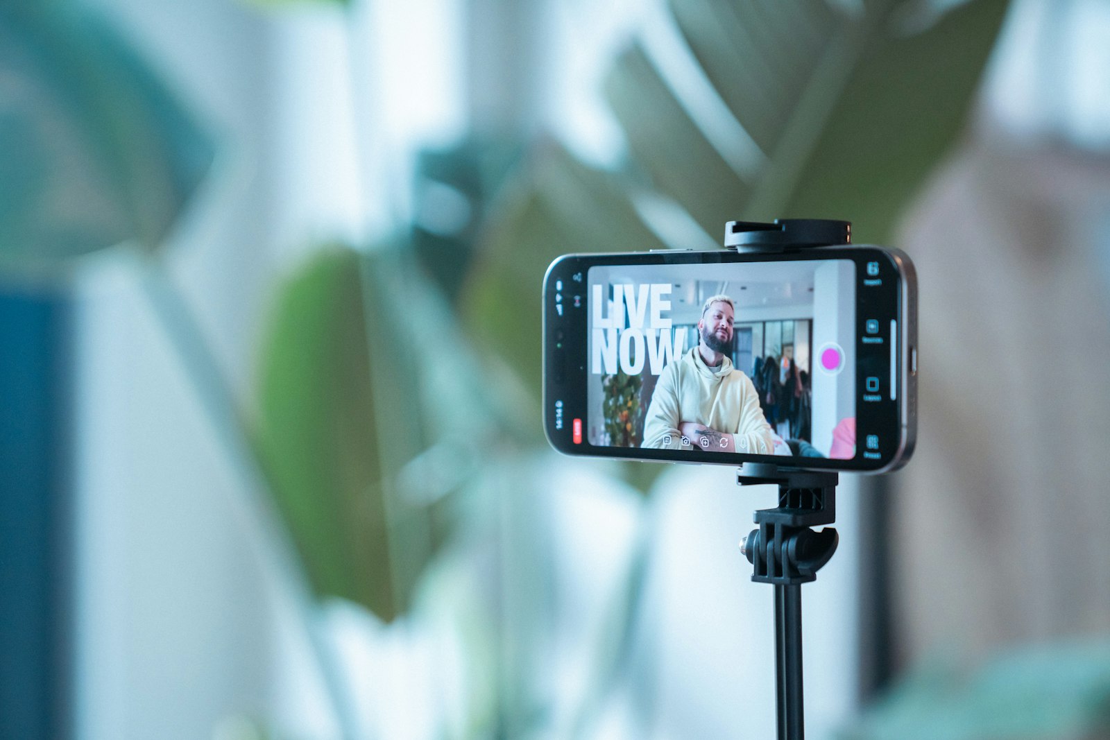 Smartphone on a tripod recording a creator for a TikTok LIVE stream, the kind of content Spark Ads and LIVE GMV Max campaigns promote